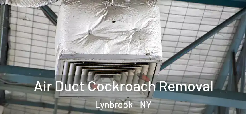  Air Duct Cockroach Removal Lynbrook - NY