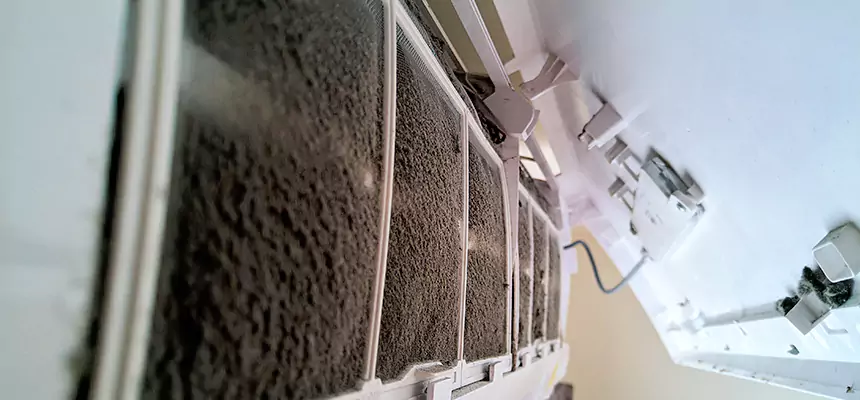 Preventive Air Duct Bacteria Removal in Lynbrook