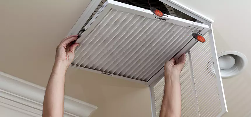 Preventive Cockroach-Proofing for Ducts in Lynbrook