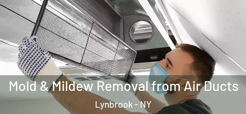 Mold & Mildew Removal from Air Ducts Lynbrook - NY