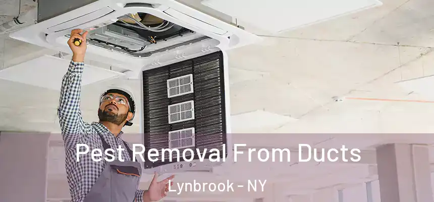 Pest Removal From Ducts Lynbrook - NY