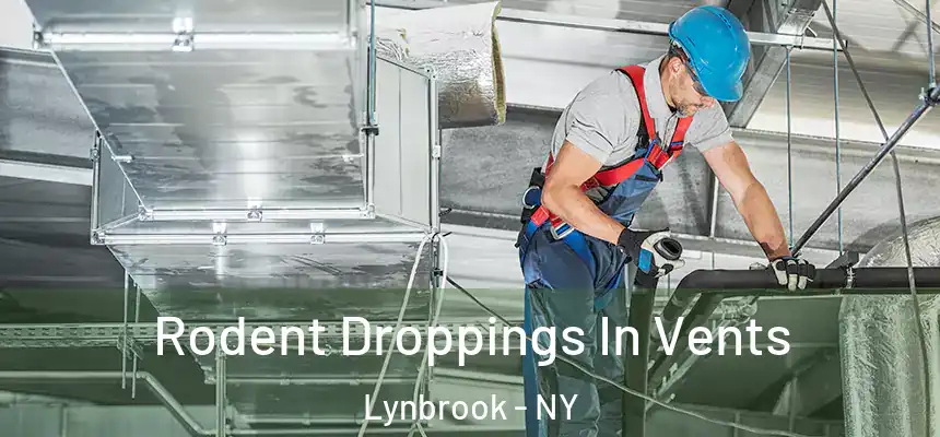  Rodent Droppings In Vents Lynbrook - NY