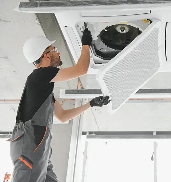 About Air Duct Rodent Removal in Lynbrook, NY