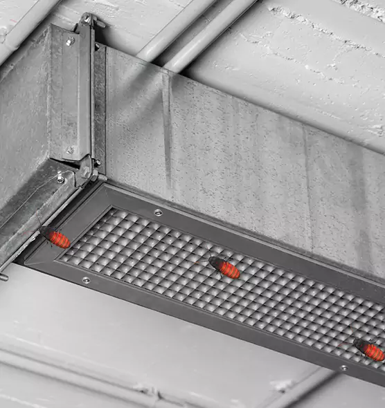 Affordable Insect Removal from Air Ducts in Lynbrook, NY