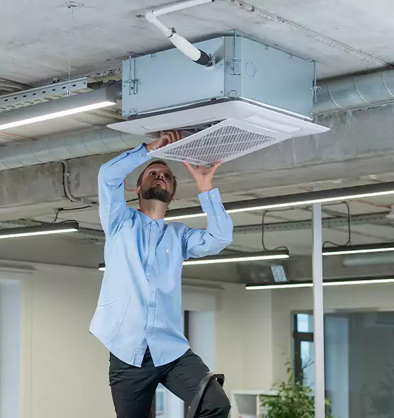 Advanced Rodent Droppings In Vents in Lynbrook, NY