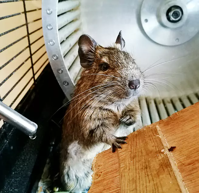 Why Homeowners & Businesses Trust Us Lynbrook, NY?